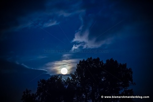 blue_moon_34541