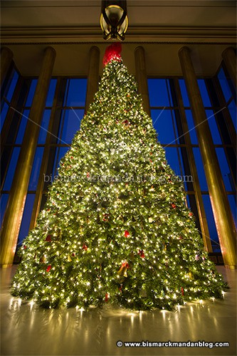 capitol_fake_tree_36131