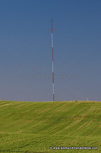 wind_survey_37874