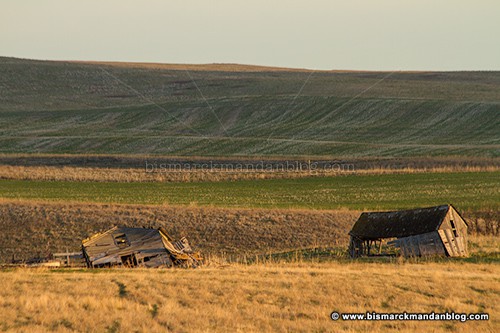fallen_farm_37058