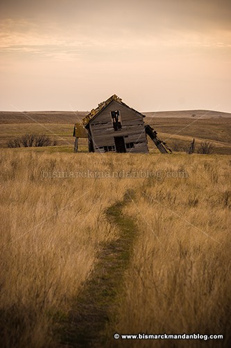 fallen_farm_37667