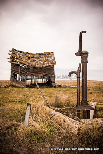 fallen_farm_37699